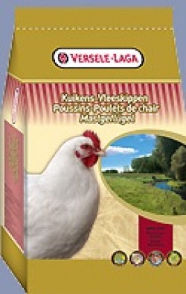 Crestere Broiler