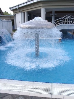Ciuperci apa piscine