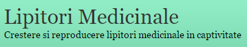 Tratament cu lipitori pentru varice