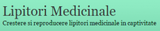 Tratament lipitori
