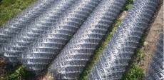 Plasa gard zincata