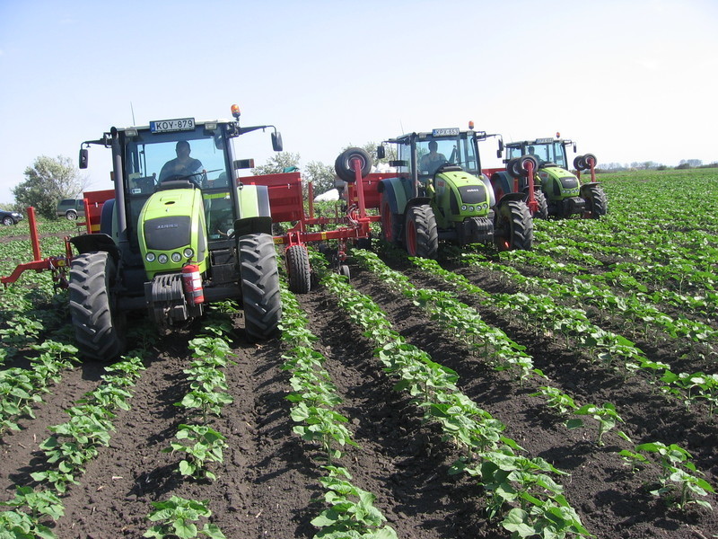 Cultivator(prasitoare) Komaromi - Gep model ABK 006 cu distribuitor de ingrasaminte