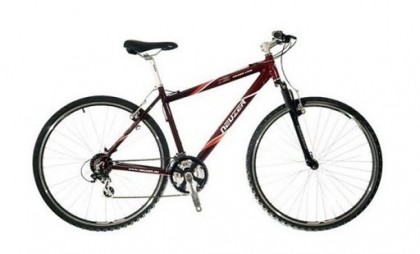 BICICLETA NEUZER X2 CROSS
