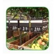 Set caseta raion Legume-Fructe