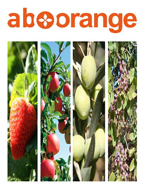 Ingrasaminte foliare
