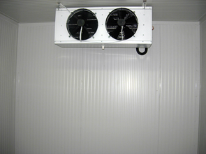 Panouri camere frigorifice
