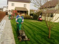Intretinere gazon