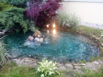 Amenajari lacuri de gradina