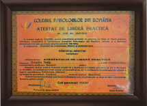 Consiliere in cariera