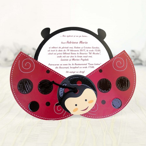 Invitatii botez