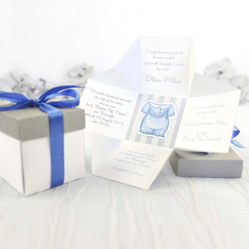 Invitatii botez