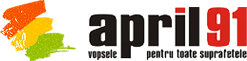 Accesorii vopsitorie