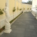 Pavele Craiova