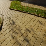 Pavele Craiova
