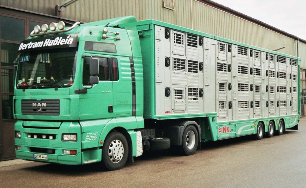 Semiremorci transport animale