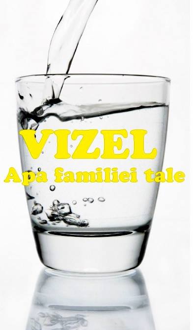 Apa minerala plata VIZEL,Oferta de lansare