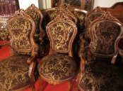 Salon catifea