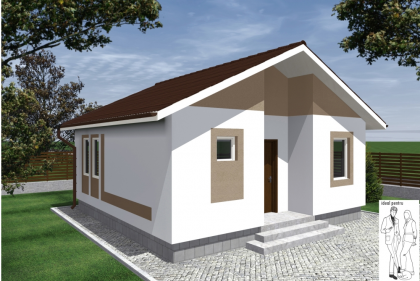 Case pe structura metalica 