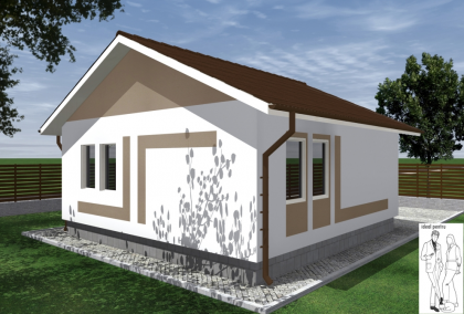 Proiecte case structura metalica 