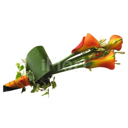 Buchet cale ornithogalum