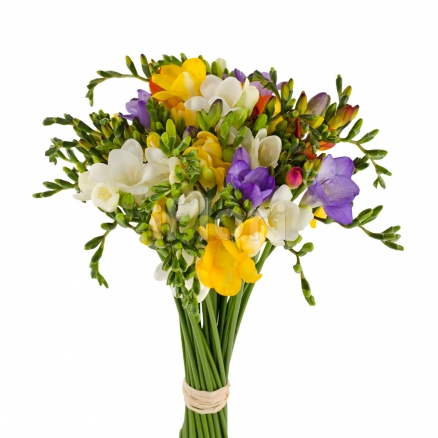 Buchet frezii multicolore