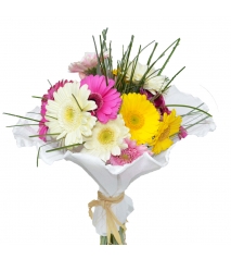 Buchete gerbera