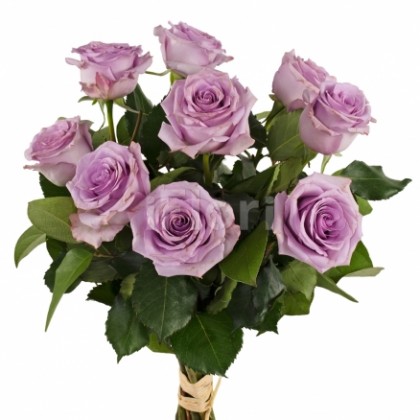 Buchet 9 trandafiri mov