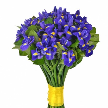 Buchete iris