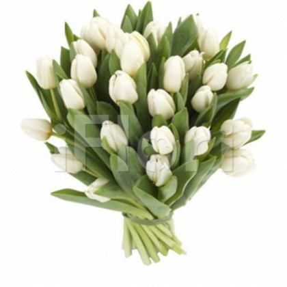 Buchet lalele albe