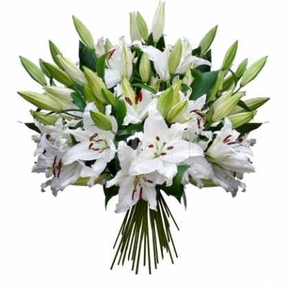 Buchet corporate crini albi