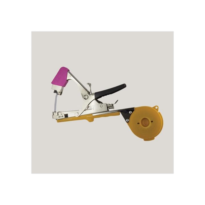 Cleste de legat via SimpleFIT BZ-A
