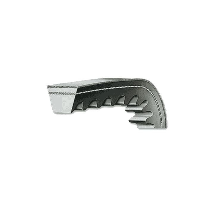 Curea trapezoidala canelata Conti SF AVX 13x800 La