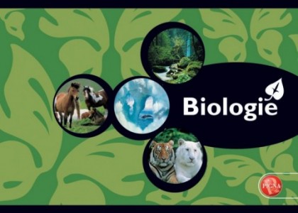 Caiet biologie, 24 file, PIGNA