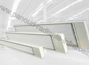 Panou Radiant Ecosun S+ 09 900w