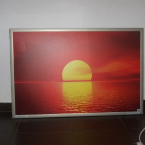 Panou Radiant Dragus Personalizat 1100w (850w) 127/60