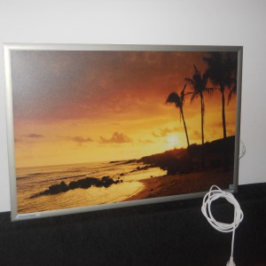 Panou Radiant Dragus Personalizat 700w (550w) 95/60