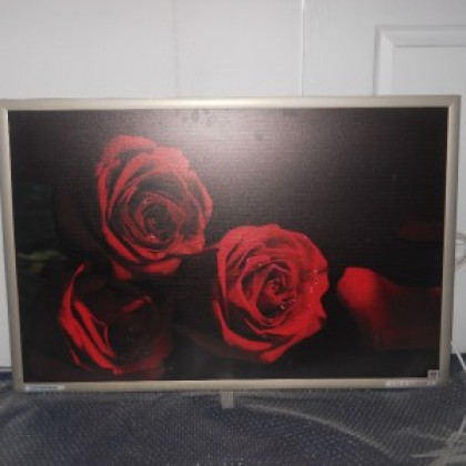 Panou Radiant Dragus Personalizat 600w (500w) 90/60