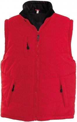 Veste ietine