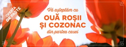 Oferte restaurant Sinaia
