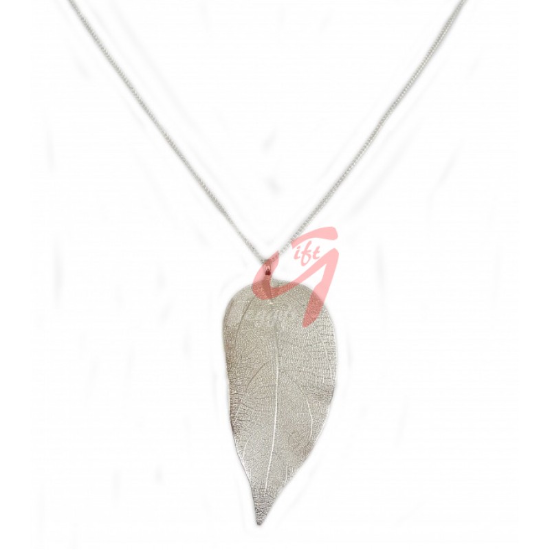 Lantisor argintiu frunza