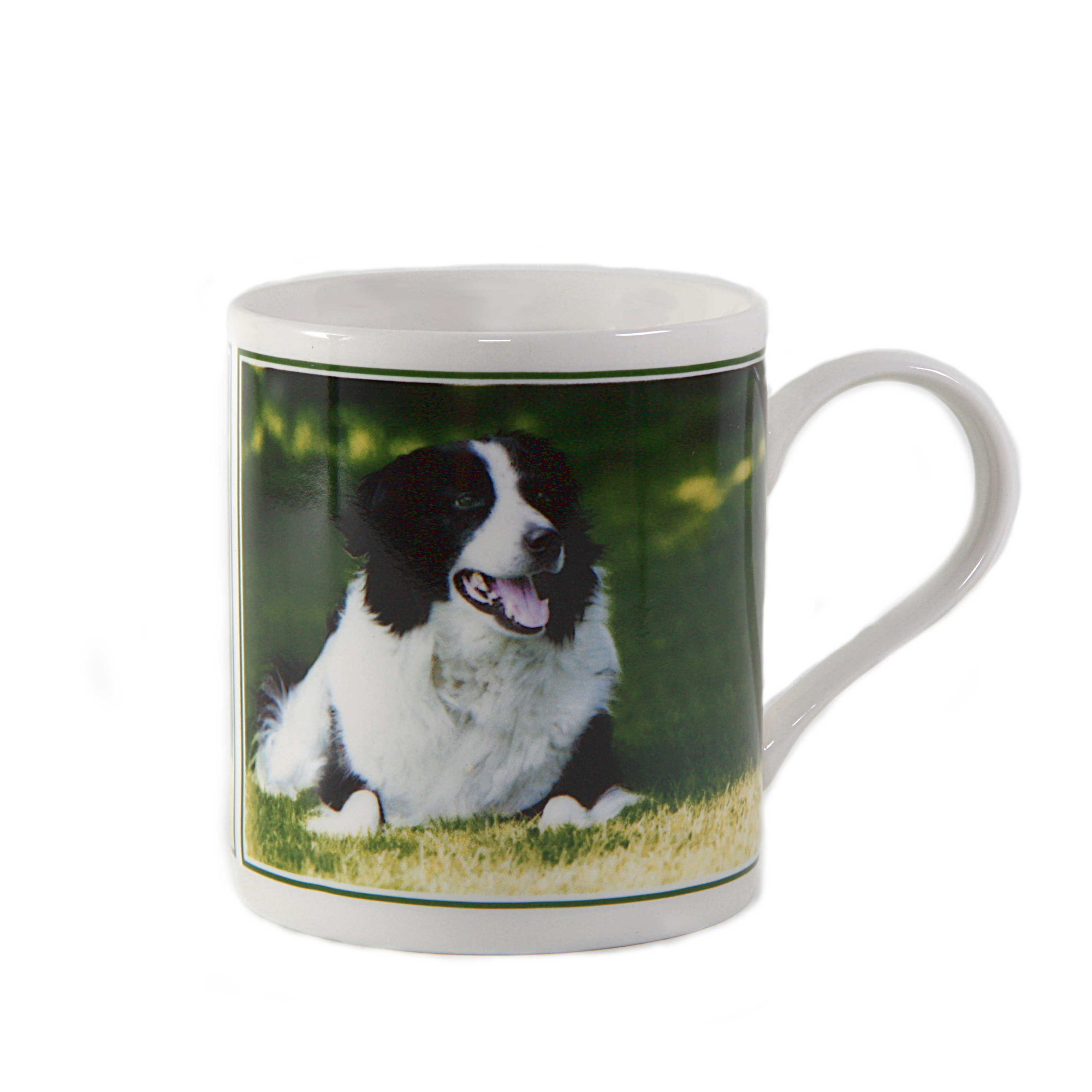 Cana portelan imprimata Border Collie
