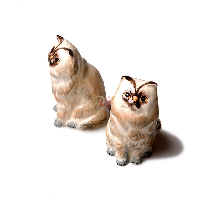 Set solnita Pisici Persane