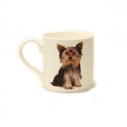 Cana portelan Yorkie