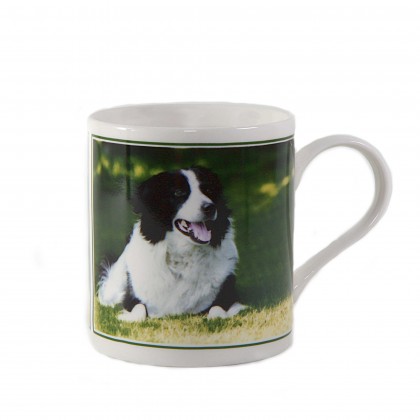 Cana portelan imprimata Border Collie