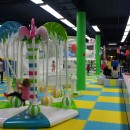 Palmier electric-miscare de roatie