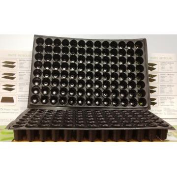 Tavi alveolare 104 celule