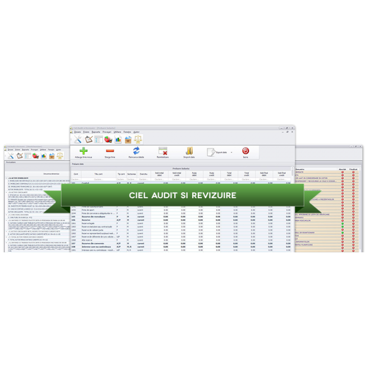 Aplicatie Ciel audit si revizuire Monopost