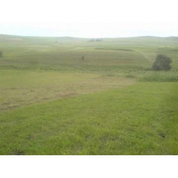 Teren 3800 m2 sat Corus, Cluj