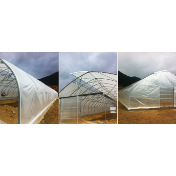 Solarii profesionale cu ventilatie la coama