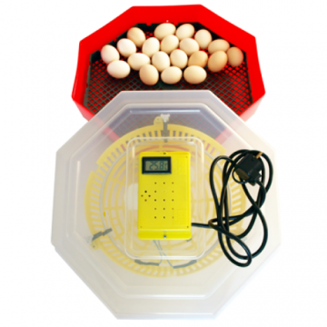 Incubator electric Cleo 5 T